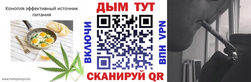 Canna-Cookies марихуана  Сясьстрой 