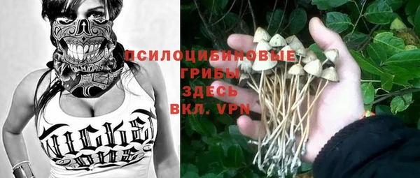 2c-b Арсеньев