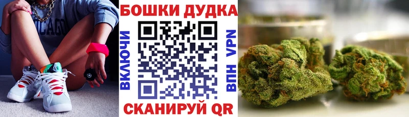 наркота даркнет Telegram Шишки марихуана план Сясьстрой